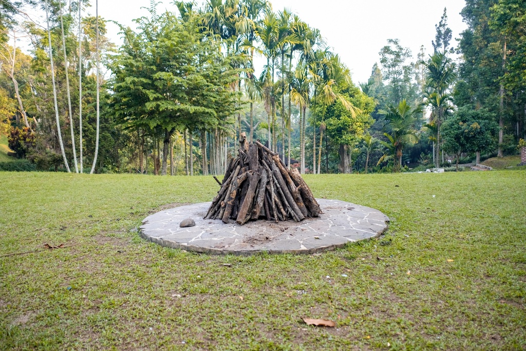 Kayu Bakar (Termasuk Api Unggun)